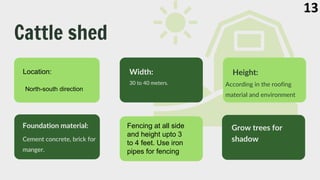 Cattle shed
Location:
30 to 40 meters.
Cement concrete, brick for
manger.
Width:
Foundation material:
According in the roofing
material and environment
Height:
Grow trees for
shadow
North-south direction
Fencing at all side
and height upto 3
to 4 feet. Use iron
pipes for fencing
13
 