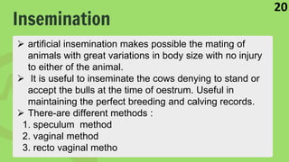 Insemination
20
 artificial insemination makes possible the mating of
animals with great variations in body size with no injury
to either of the animal.
 It is useful to inseminate the cows denying to stand or
accept the bulls at the time of oestrum. Useful in
maintaining the perfect breeding and calving records.
 There-are different methods :
1. speculum method
2. vaginal method
3. recto vaginal metho
 