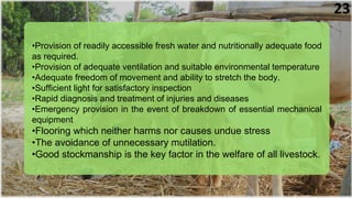 •Provision of readily accessible fresh water and nutritionally adequate food
as required.
•Provision of adequate ventilation and suitable environmental temperature
•Adequate freedom of movement and ability to stretch the body.
•Sufficient light for satisfactory inspection
•Rapid diagnosis and treatment of injuries and diseases
•Emergency provision in the event of breakdown of essential mechanical
equipment
•Flooring which neither harms nor causes undue stress
•The avoidance of unnecessary mutilation.
•Good stockmanship is the key factor in the welfare of all livestock.
23
 