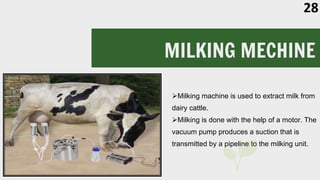 MILKING MECHINE
Milking machine is used to extract milk from
dairy cattle.
Milking is done with the help of a motor. The
vacuum pump produces a suction that is
transmitted by a pipeline to the milking unit.
28
 