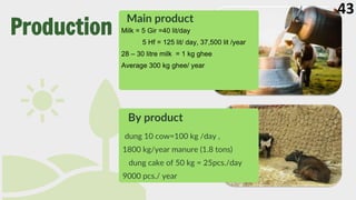 Main product
Milk = 5 Gir =40 lit/day
5 Hf = 125 lit/ day, 37,500 lit /year
28 – 30 litre milk = 1 kg ghee
Average 300 kg ghee/ year
By product
dung 10 cow=100 kg /day ,
1800 kg/year manure (1.8 tons)
dung cake of 50 kg = 25pcs./day
9000 pcs./ year
Production
43
 