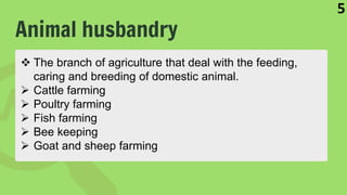 Animal husbandry
5
 The branch of agriculture that deal with the feeding,
caring and breeding of domestic animal.
 Cattle farming
 Poultry farming
 Fish farming
 Bee keeping
 Goat and sheep farming
 