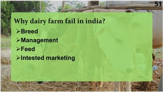 Breed
Management
Feed
Intested marketing
Why dairy farm fail in india?
51
 