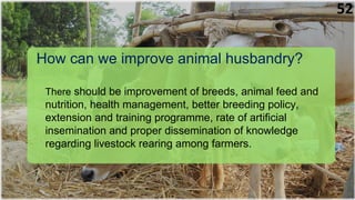How can we improve animal husbandry?
There should be improvement of breeds, animal feed and
nutrition, health management, better breeding policy,
extension and training programme, rate of artificial
insemination and proper dissemination of knowledge
regarding livestock rearing among farmers.
52
 