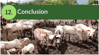 12. Conclusion
55
 