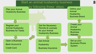 Start an animal husbandry business
by following these steps:
Get Animal
Husbandry
Business Insurance
Open a Business
Bank Account &
Credit Card
Plan your Animal
Husbandry Business
Register your
Animal Husbandry
Business for Taxes
Get the Necessary
Permits & Licenses
for your Animal
Husbandry Business
Define your
Animal
Husbandry
Business Brand
Create your
Animal
Husbandry
Business
Website
Set up your
Business Phone
System
8
 
