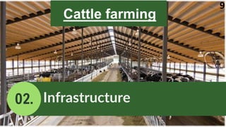 02. Infrastructure
9
Cattle farming
 