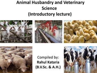 Animal Husbandry and Veterinary
Science
(Introductory lecture)
Compiled by:
Rahul Kataria
(B.V.Sc. & A.H.)
 