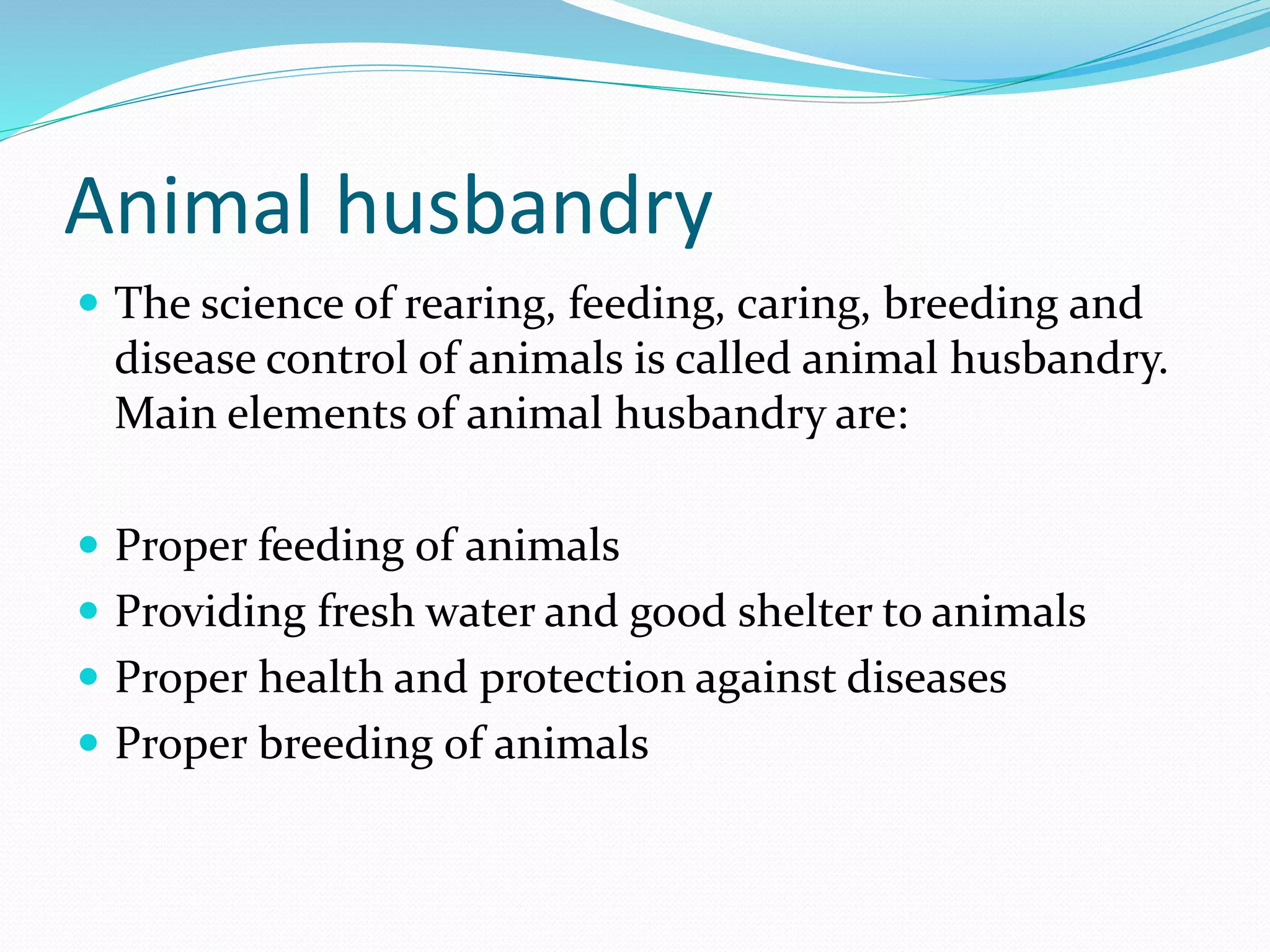 Rimworld Feeding Frenzy: Master The Art Of Animal Husbandry! - j1z28go