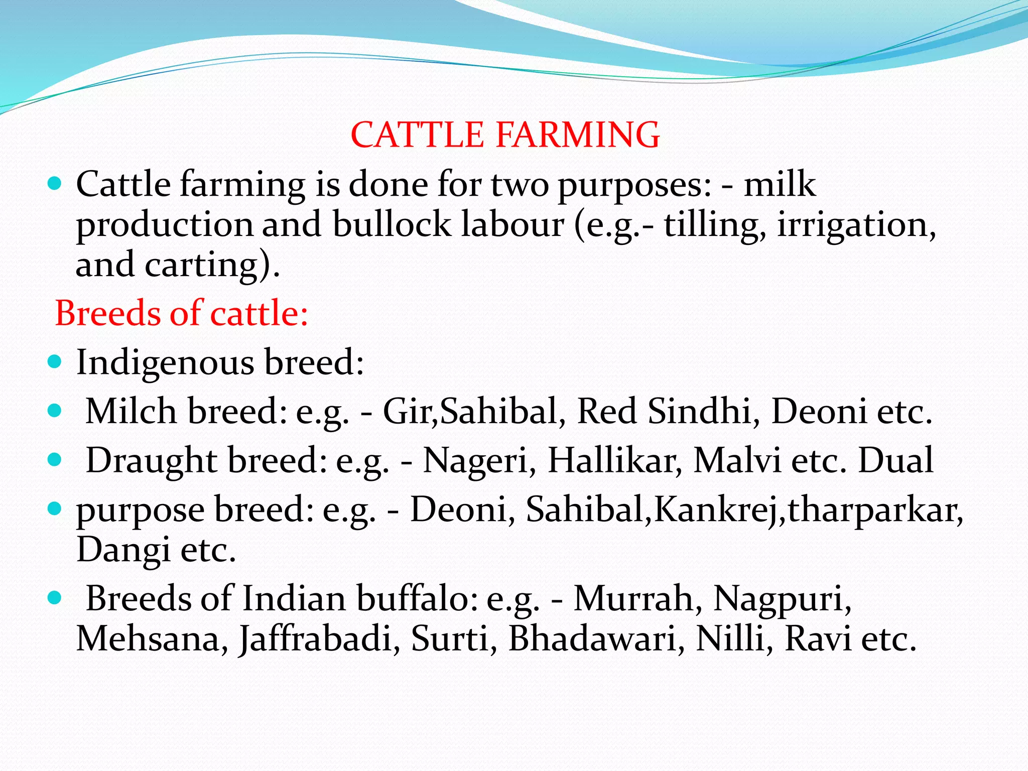 Animal husbandry | PPTX
