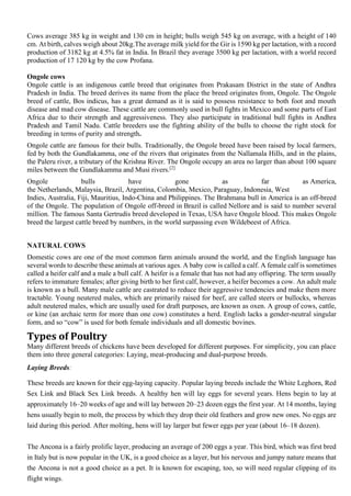 Cows average 385 kg in weight and 130 cm in height; bulls weigh 545 kg on average, with a height of 140
cm. At birth, calves weigh about 20kg.The average milk yield for the Gir is 1590 kg per lactation, with a record
production of 3182 kg at 4.5% fat in India. In Brazil they average 3500 kg per lactation, with a world record
production of 17 120 kg by the cow Profana.
Ongole cows
Ongole cattle is an indigenous cattle breed that originates from Prakasam District in the state of Andhra
Pradesh in India. The breed derives its name from the place the breed originates from, Ongole. The Ongole
breed of cattle, Bos indicus, has a great demand as it is said to possess resistance to both foot and mouth
disease and mad cow disease. These cattle are commonly used in bull fights in Mexico and some parts of East
Africa due to their strength and aggressiveness. They also participate in traditional bull fights in Andhra
Pradesh and Tamil Nadu. Cattle breeders use the fighting ability of the bulls to choose the right stock for
breeding in terms of purity and strength.
Ongole cattle are famous for their bulls. Traditionally, the Ongole breed have been raised by local farmers,
fed by both the Gundlakamma, one of the rivers that originates from the Nallamala Hills, and in the plains,
the Paleru river, a tributary of the Krishna River. The Ongole occupy an area no larger than about 100 square
miles between the Gundlakamma and Musi rivers.[2]
Ongole bulls have gone as far as America,
the Netherlands, Malaysia, Brazil, Argentina, Colombia, Mexico, Paraguay, Indonesia, West
Indies, Australia, Fiji, Mauritius, Indo-China and Philippines. The Brahmana bull in America is an off-breed
of the Ongole. The population of Ongole off-breed in Brazil is called Nellore and is said to number several
million. The famous Santa Gertrudis breed developed in Texas, USA have Ongole blood. This makes Ongole
breed the largest cattle breed by numbers, in the world surpassing even Wildebeest of Africa.
NATURAL COWS
Domestic cows are one of the most common farm animals around the world, and the English language has
several words to describe these animals at various ages. A baby cow is called a calf. A female calf is sometimes
called a heifer calf and a male a bull calf. A heifer is a female that has not had any offspring. The term usually
refers to immature females; after giving birth to her first calf, however, a heifer becomes a cow. An adult male
is known as a bull. Many male cattle are castrated to reduce their aggressive tendencies and make them more
tractable. Young neutered males, which are primarily raised for beef, are called steers or bullocks, whereas
adult neutered males, which are usually used for draft purposes, are known as oxen. A group of cows, cattle,
or kine (an archaic term for more than one cow) constitutes a herd. English lacks a gender-neutral singular
form, and so “cow” is used for both female individuals and all domestic bovines.
Types of Poultry
Many different breeds of chickens have been developed for different purposes. For simplicity, you can place
them into three general categories: Laying, meat-producing and dual-purpose breeds.
Laying Breeds:
These breeds are known for their egg-laying capacity. Popular laying breeds include the White Leghorn, Red
Sex Link and Black Sex Link breeds. A healthy hen will lay eggs for several years. Hens begin to lay at
approximately 16–20 weeks of age and will lay between 20–23 dozen eggs the first year. At 14 months, laying
hens usually begin to molt, the process by which they drop their old feathers and grow new ones. No eggs are
laid during this period. After molting, hens will lay larger but fewer eggs per year (about 16–18 dozen).
The Ancona is a fairly prolific layer, producing an average of 200 eggs a year. This bird, which was first bred
in Italy but is now popular in the UK, is a good choice as a layer, but his nervous and jumpy nature means that
the Ancona is not a good choice as a pet. It is known for escaping, too, so will need regular clipping of its
flight wings.
 