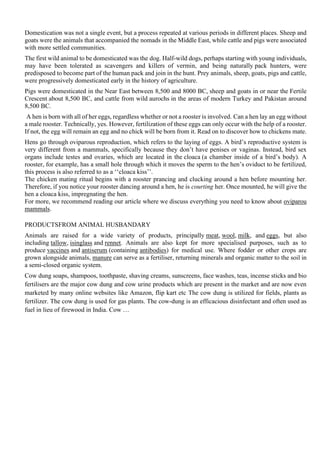 Domestication was not a single event, but a process repeated at various periods in different places. Sheep and
goats were the animals that accompanied the nomads in the Middle East, while cattle and pigs were associated
with more settled communities.
The first wild animal to be domesticated was the dog. Half-wild dogs, perhaps starting with young individuals,
may have been tolerated as scavengers and killers of vermin, and being naturally pack hunters, were
predisposed to become part of the human pack and join in the hunt. Prey animals, sheep, goats, pigs and cattle,
were progressively domesticated early in the history of agriculture.
Pigs were domesticated in the Near East between 8,500 and 8000 BC, sheep and goats in or near the Fertile
Crescent about 8,500 BC, and cattle from wild aurochs in the areas of modern Turkey and Pakistan around
8,500 BC.
A hen is born with all of her eggs, regardless whether or not a rooster is involved. Can a hen lay an egg without
a male rooster. Technically, yes. However, fertilization of these eggs can only occur with the help of a rooster.
If not, the egg will remain an egg and no chick will be born from it. Read on to discover how to chickens mate.
Hens go through oviparous reproduction, which refers to the laying of eggs. A bird’s reproductive system is
very different from a mammals, specifically because they don’t have penises or vaginas. Instead, bird sex
organs include testes and ovaries, which are located in the cloaca (a chamber inside of a bird’s body). A
rooster, for example, has a small hole through which it moves the sperm to the hen’s oviduct to be fertilized,
this process is also referred to as a ‘‘cloaca kiss’’.
The chicken mating ritual begins with a rooster prancing and clucking around a hen before mounting her.
Therefore, if you notice your rooster dancing around a hen, he is courting her. Once mounted, he will give the
hen a cloaca kiss, impregnating the hen.
For more, we recommend reading our article where we discuss everything you need to know about oviparou
mammals.
PRODUCTSFROM ANIMAL HUSBANDARY
Animals are raised for a wide variety of products, principally meat, wool, milk, and eggs, but also
including tallow, isinglass and rennet. Animals are also kept for more specialised purposes, such as to
produce vaccines and antiserum (containing antibodies) for medical use. Where fodder or other crops are
grown alongside animals, manure can serve as a fertiliser, returning minerals and organic matter to the soil in
a semi-closed organic system.
Cow dung soaps, shampoos, toothpaste, shaving creams, sunscreens, face washes, teas, incense sticks and bio
fertilisers are the major cow dung and cow urine products which are present in the market and are now even
marketed by many online websites like Amazon, flip kart etc The cow dung is utilized for fields, plants as
fertilizer. The cow dung is used for gas plants. The cow-dung is an efficacious disinfectant and often used as
fuel in lieu of firewood in India. Cow …
 