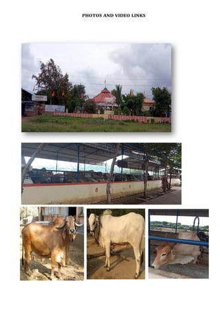 PHOTOS AND VIDEO LINKS
 