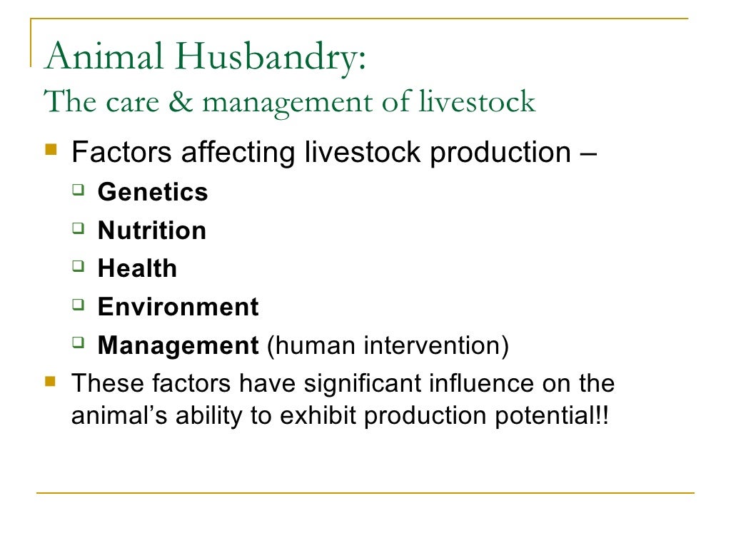 essay on animal husbandry