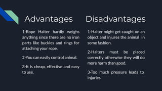 Advantages Disadvantages
1-Rope Halter hardly weighs
anything since there are no iron
parts like buckles and rings for
attaching your rope.
2-You can easily control animal.
3-It is cheap, effective and easy
to use.
1-Halter might get caught on an
object and injures the animal in
some fashion.
2-Halters must be placed
correctly otherwise they will do
more harm than good.
3-Too much pressure leads to
injuries.
 
