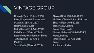 VINTAGE GROUP
Khawaja Taha (18-Arid-2350) Naveed Bhai (18-Arid-2238)
Intro, Purposes & Precautions Hobbles, Chemical, Anti-kick bars
M.Waqas(18-Arid-2207) Shiza Atif (18-Arid-2325)
Restraining of Goat Haltering & Casting
Hajra Kanwal (18-Arid-1950) Crush, Nose Holder
Rida Fatima (18-Arid-2269) Nisa-ur-Rehman (18-Arid-2246)
Restraining techniques of Sheep Horse, Donkey
Talha Qureshi (18-Arid-) Tehreem Eraf (18-Arid-2365)
Poultry, Camel
Sidra Khaliq (18-Arid-2329) Sumbal and Aleha.
 