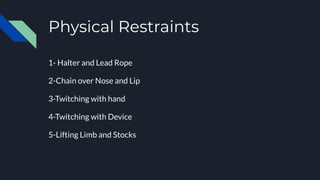 Physical Restraints
1- Halter and Lead Rope
2-Chain over Nose and Lip
3-Twitching with hand
4-Twitching with Device
5-Lifting Limb and Stocks
 