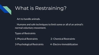 What is Restraining?
Art to handle animals.
Humane and safe techniques to limit some or all of an animal’s
normal voluntary movement.
Types of Restraints
1-Physical Restraints 2- Chemical Restraints
3-Psychological Restraints 4- Electro-Immobilization
 