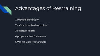 Advantages of Restraining
1-Prevent from injury
2-safety for animal and holder
3-Maintain health
4-proper control for trainers
5-We get work from animals
 