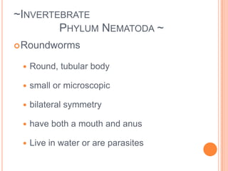 	Live in water or are parasites