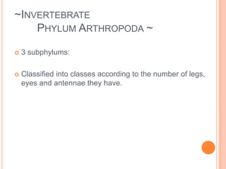 ~Invertebrate		Phylum Annelida ~ Segemented wormsBody divided into 				segments(sections)Live in water or 				undergroundhave a nervous and circulatory system
