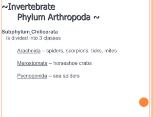 ~Invertebrate		Phylum Annelida ~ Class  Earthwormseat soil and breakdown                     organic matter, wastes provide nutrients to soil