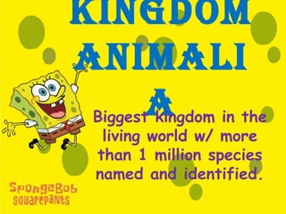 Kingdom
AnimAli
        A in the
 Biggest kingdom
   living world w/ more
  than 1 million species
  named and identified.
 