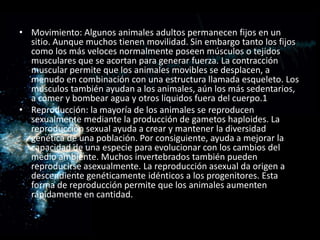 • Movimiento: Algunos animales adultos permanecen fijos en un
  sitio. Aunque muchos tienen movilidad. Sin embargo tanto los fijos
  como los más veloces normalmente poseen músculos o tejidos
  musculares que se acortan para generar fuerza. La contracción
  muscular permite que los animales movibles se desplacen, a
  menudo en combinación con una estructura llamada esqueleto. Los
  músculos también ayudan a los animales, aún los más sedentarios,
  a comer y bombear agua y otros líquidos fuera del cuerpo.1
• Reproducción: la mayoría de los animales se reproducen
  sexualmente mediante la producción de gametos haploides. La
  reproducción sexual ayuda a crear y mantener la diversidad
  genética de una población. Por consiguiente, ayuda a mejorar la
  capacidad de una especie para evolucionar con los cambios del
  medio ambiente. Muchos invertebrados también pueden
  reproducirse asexualmente. La reproducción asexual da origen a
  descendiente genéticamente idénticos a los progenitores. Esta
  forma de reproducción permite que los animales aumenten
  rápidamente en cantidad.
 