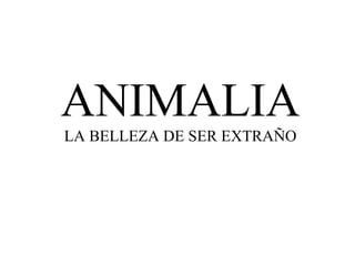 ANIMALIA
LA BELLEZA DE SER EXTRAÑO
 