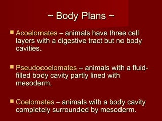 ~ Body Plans ~~ Body Plans ~
 AcoelomatesAcoelomates – animals have three cell– animals have three cell
layers with a digestive tract but no bodylayers with a digestive tract but no body
cavities.cavities.
 PseudocoelomatesPseudocoelomates – animals with a fluid-– animals with a fluid-
filled body cavity partly lined withfilled body cavity partly lined with
mesoderm.mesoderm.
 CoelomatesCoelomates – animals with a body cavity– animals with a body cavity
completely surrounded by mesoderm.completely surrounded by mesoderm.
 