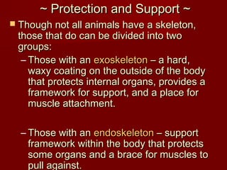 ~ Protection and Support ~~ Protection and Support ~
 Though not all animals have a skeleton,Though not all animals have a skeleton,
those that do can be divided into twothose that do can be divided into two
groups:groups:
– Those with anThose with an exoskeletonexoskeleton – a hard,– a hard,
waxy coating on the outside of the bodywaxy coating on the outside of the body
that protects internal organs, provides athat protects internal organs, provides a
framework for support, and a place forframework for support, and a place for
muscle attachment.muscle attachment.
– Those with anThose with an endoskeletonendoskeleton – support– support
framework within the body that protectsframework within the body that protects
some organs and a brace for muscles tosome organs and a brace for muscles to
pull against.pull against.
 