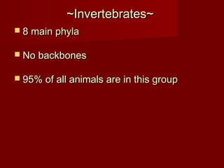 ~Invertebrates~~Invertebrates~
 8 main phyla8 main phyla
 No backbonesNo backbones
 95% of all animals are in this group95% of all animals are in this group
 