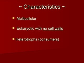 ~ Characteristics ~~ Characteristics ~
 MulticellularMulticellular
 Eukaryotic withEukaryotic with no cell wallsno cell walls
 Heterotrophs (consumers)Heterotrophs (consumers)
 
