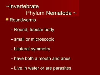~Invertebrate~Invertebrate
Phylum Nematoda ~Nematoda ~
 RoundwormsRoundworms
– Round, tubular bodyRound, tubular body
– small or microscopicsmall or microscopic
– bilateral symmetrybilateral symmetry
– have both a mouth and anushave both a mouth and anus
– Live in water or are parasitesLive in water or are parasites
 