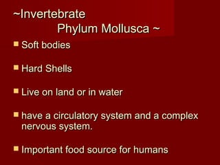 ~Invertebrate~Invertebrate
Phylum Mollusca ~Phylum Mollusca ~
 Soft bodiesSoft bodies
 Hard ShellsHard Shells
 Live on land or in waterLive on land or in water
 have a circulatory system and a complexhave a circulatory system and a complex
nervous system.nervous system.
 Important food source for humansImportant food source for humans
 
