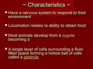 ~ Characteristics ~~ Characteristics ~
 Have a nervous system to respond to theirHave a nervous system to respond to their
environmentenvironment
 Locomotion relates to ability to obtain foodLocomotion relates to ability to obtain food
 Most animals develop from aMost animals develop from a zygotezygote
becoming abecoming a
 A single layer of cells surrounding a fluid-A single layer of cells surrounding a fluid-
filled space forming a hollow ball of cellsfilled space forming a hollow ball of cells
called acalled a gastrulagastrula.
 