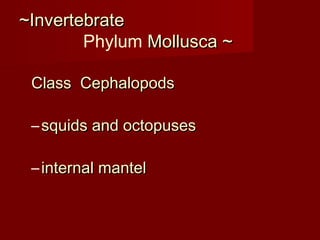 ~Invertebrate~Invertebrate
Phylum Mollusca ~Mollusca ~
Class CephalopodsClass Cephalopods
– squids and octopusessquids and octopuses
– internal mantelinternal mantel
 