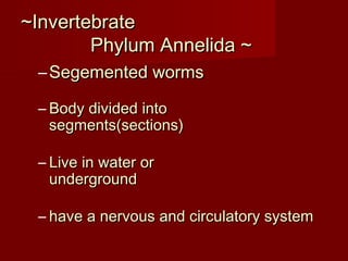 ~Invertebrate~Invertebrate
Phylum Annelida ~Phylum Annelida ~
– Segemented wormsSegemented worms
– Body divided intoBody divided into
segments(sections)segments(sections)
– Live in water orLive in water or
undergroundunderground
– have a nervous and circulatory systemhave a nervous and circulatory system
 