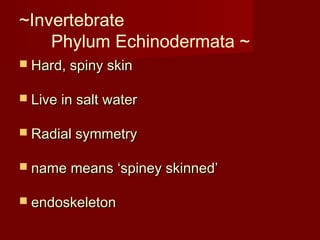~Invertebrate
Phylum Echinodermata ~
 Hard, spiny skinHard, spiny skin
 Live in salt waterLive in salt water
 Radial symmetryRadial symmetry
 name means ‘spiney skinned’name means ‘spiney skinned’
 endoskeletonendoskeleton
 