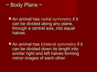 ~ Body Plans ~~ Body Plans ~
 An animal hasAn animal has radial symmetryradial symmetry if itif it
can be divided along any plane,can be divided along any plane,
through a central axis, into equalthrough a central axis, into equal
halves.halves.
 An animal hasAn animal has bilateral symmetrybilateral symmetry if itif it
can be divided down its length intocan be divided down its length into
similar right and left halves formingsimilar right and left halves forming
mirror images of each other.mirror images of each other.
 