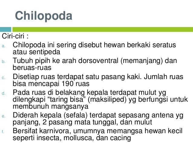 Animalia Arthropoda Kelas X
