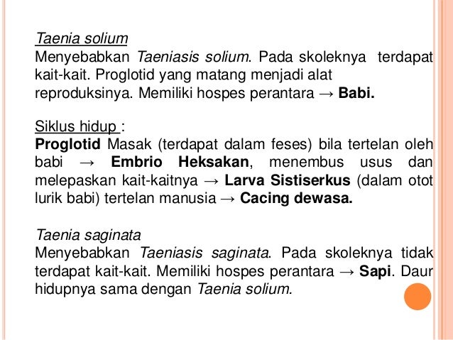 SOGABILIYANJAYA : IPA Kingdom Animalia