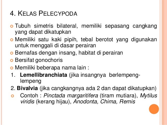 Bagian Tubuh Tiram Mutiara Yang Berperan Dalam Pembentukan Mutiara