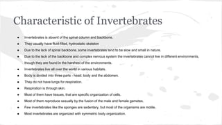 Characteristic of Invertebrates
● Invertebrates is absent of the spinal column and backbone.
● They usually have fluid-filled, hydrostatic skeleton
● Due to the lack of spinal backbone, some invertebrates tend to be slow and small in nature.
● Due to the lack of the backbone and complex nervous system the invertebrates cannot live in different environments,
though they are found in the harshest of the environments.
● Invertebrates live all over the world in various habitats.
● Body is divided into three parts - head, body and the abdomen.
● They do not have lungs for respiration.
● Respiration is through skin.
● Most of them have tissues, that are specific organization of cells.
● Most of them reproduce sexually by the fusion of the male and female gametes.
● Few invertebrates like the sponges are sedentary, but most of the organisms are motile.
● Most invertebrates are organized with symmetric body organization.
 