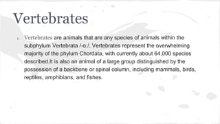 Vertebrates
1. Vertebrates are animals that are any species of animals within the
subphylum Vertebrata /-ɑː/. Vertebrates represent the overwhelming
majority of the phylum Chordata, with currently about 64,000 species
described.It is also an animal of a large group distinguished by the
possession of a backbone or spinal column, including mammals, birds,
reptiles, amphibians, and fishes.
 