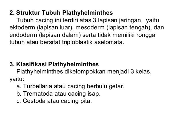 Animalia invertebrata kelas X