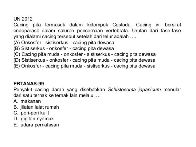 Animalia invertebrata kelas X