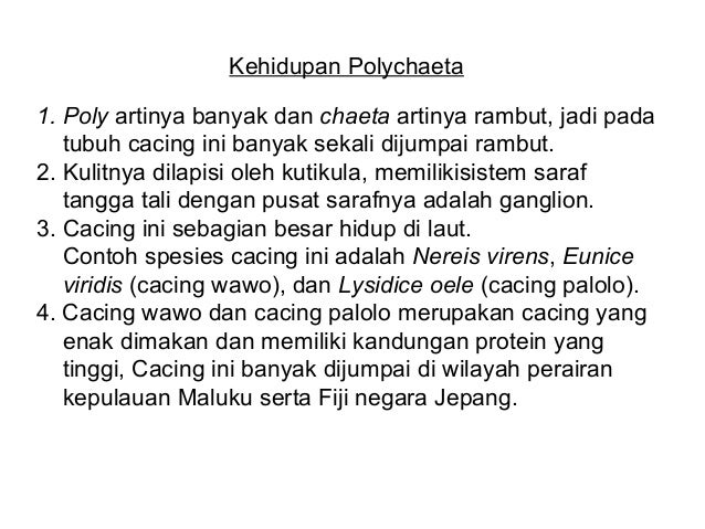 Animalia invertebrata kelas X Animalia invertebrata kelas X