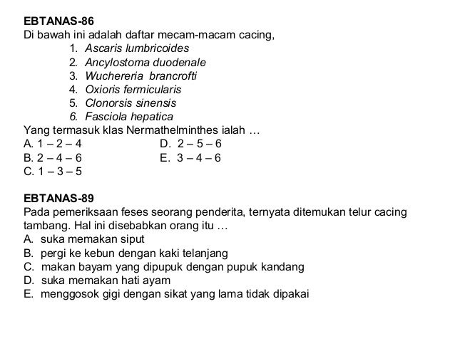 Animalia invertebrata  kelas X