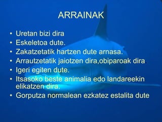 ARRAINAK Uretan bizi dira Eskeletoa dute.  Zakatzetatik hartzen dute arnasa. Arrautzetatik jaiotzen dira,obiparoak dira . Igeri egiten dute. Itsasoko beste animalia edo landareekin elikatzen dira. Gorputza normalean ezkatez estalita dute 